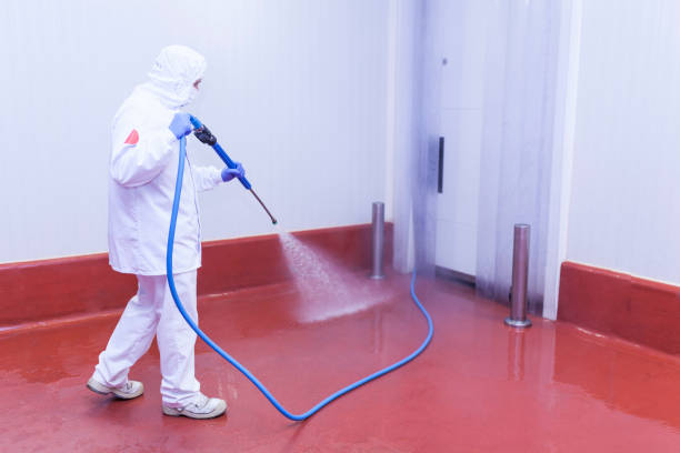 Best Factory Floor Cleaning  in Woods Cross, UT